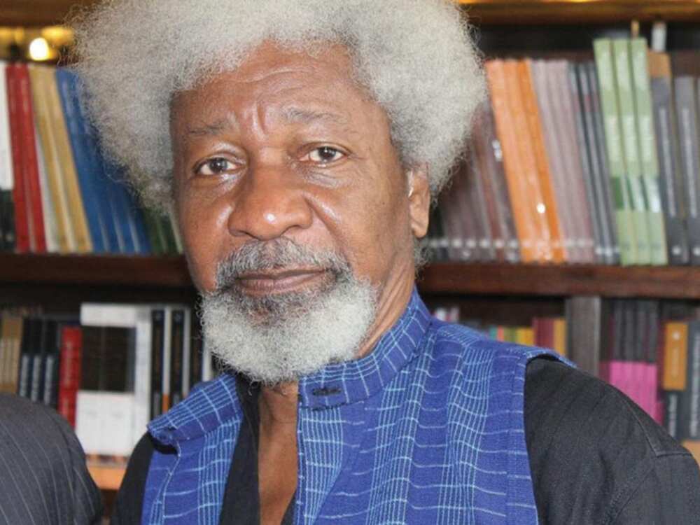 Soyinka: Ya kamata duk jihar da ake sace yara su tsunduma zanga-zanga