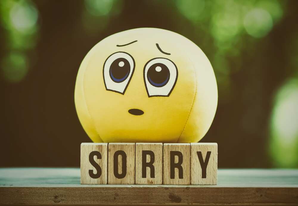 i am sorry quotes for girlfriend