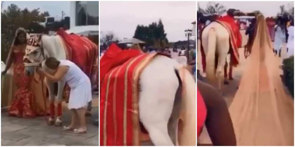 Bride makes grand entrance to wedding venue with horse (video)