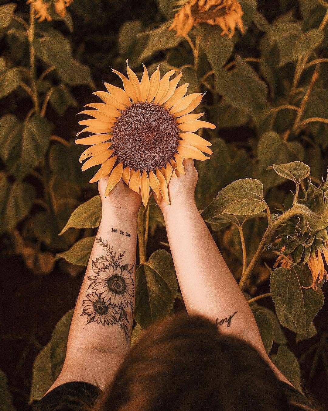 40+ Best Sunflower Tattoo Design Ideas (Meaning and Inspirations) - Saved  Tattoo