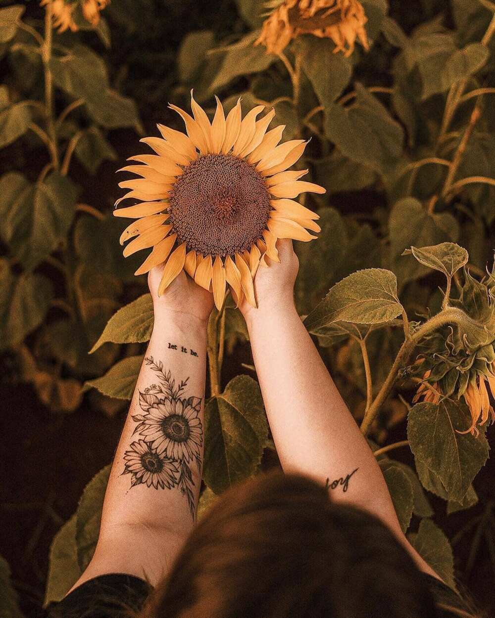 sunflower tattoo