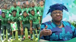 "Let's get it done": Ngozi Okonjo-Iweala pushes Super Eagles to defeat South Africa in 2023 AFCON