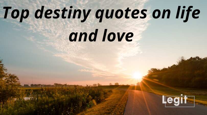 50 destiny quotes on life and love that will change the way you think -  Legit.ng