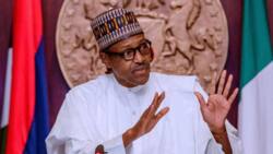 Law firm writes FG ahead of President Buhari's visit to Russia