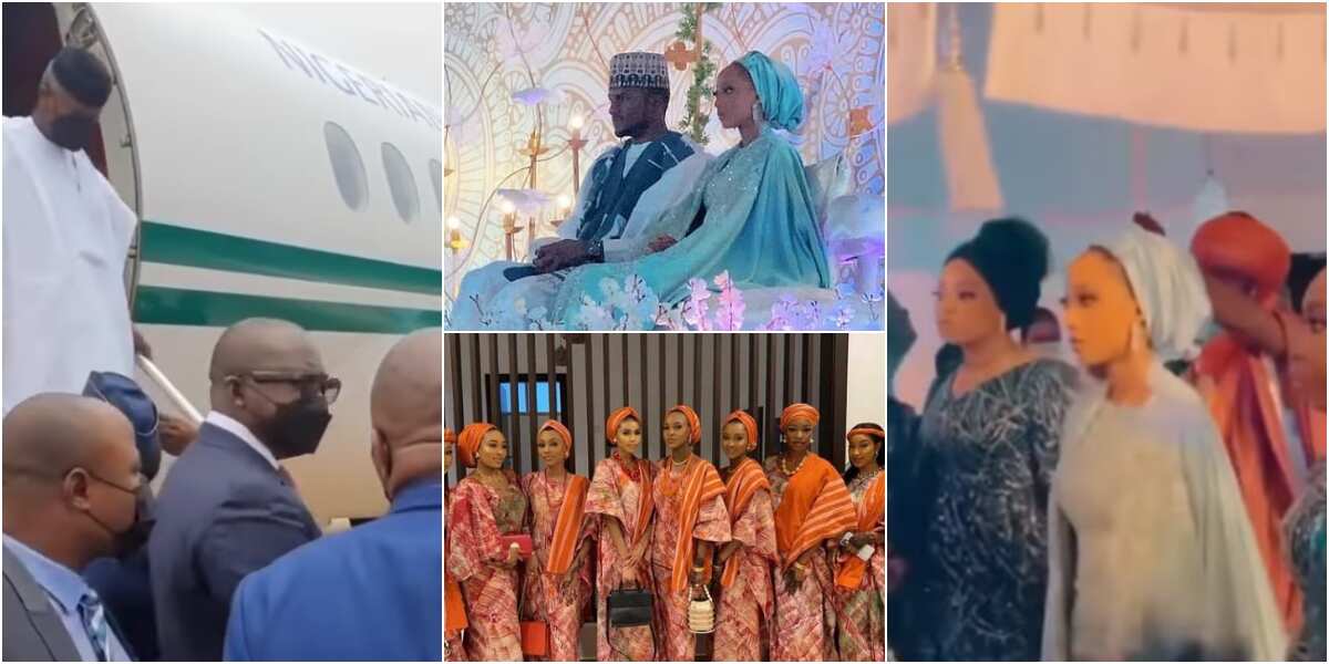 Presidential wedding of the year: 1st photos, videos of Yusuf Buhari's Fathia, Osinbajo, VIP guests arrive