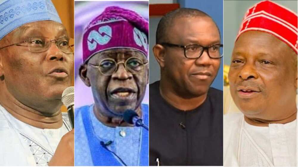 Atiku, Tinubu, Peter Obi, Kwankwaso