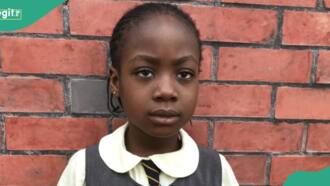 Nigerian girl who scored 100% in national mathematics competition gets N21m scholarship