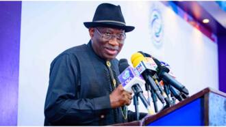 2023 elections: “Don’t vote for killers”, Jonathan warns Nigerians