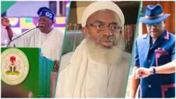 Tinubu, Wike vs Sheikh Gumi: List of APC chieftains who have tackled Islamic cleric