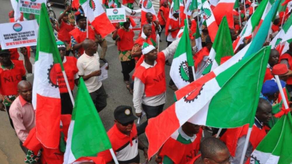 NLC accuses political leaders, families Steal Nigeria’s wealth