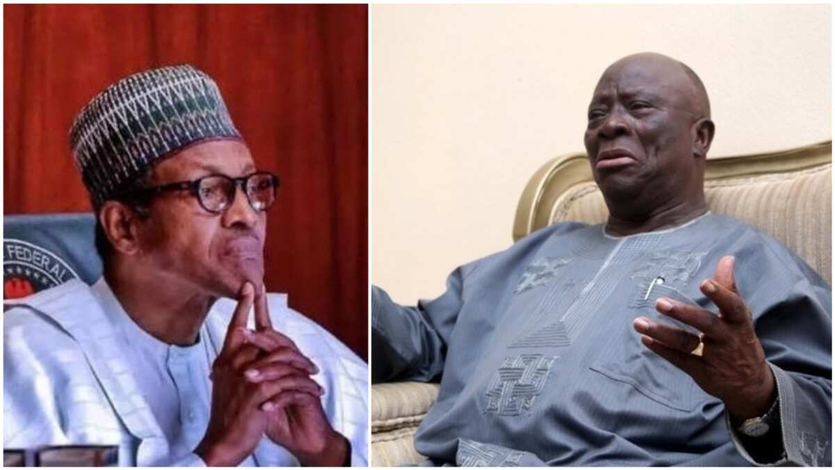 'Muna rokon Ubangijinmu ya yi mana maganin Buhari' - Ayo Adebanjo kan kamun Igboho