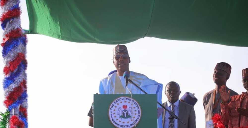 2023 Election, Governor Zulum, Borno State
