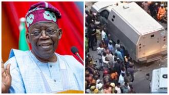 "Bullion van found in Tinubu's house during 2019 election missed its way," APC leader claims in new video