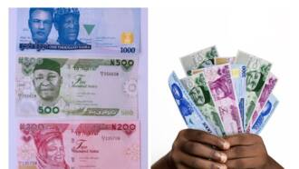 Naira redesign: Powerful presidential candidate fumes, exposes enemies of Nigeria