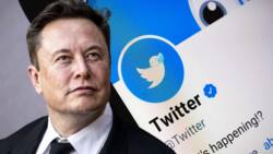 Garabasa: 'Yan Twitter sun more, Elon Musk zai fara raba musu kudi, amma da sharadi