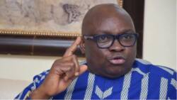 Fuel subsidy: Fayose rolls out critical solutions for Tinubu to overcome crisis