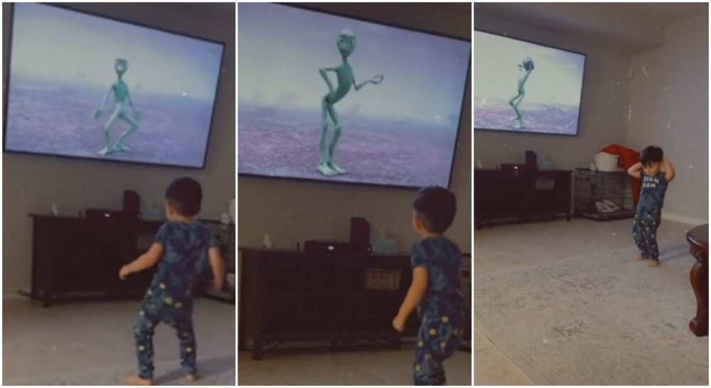 Boy joins dancing frog to dance in an astonishing funny video