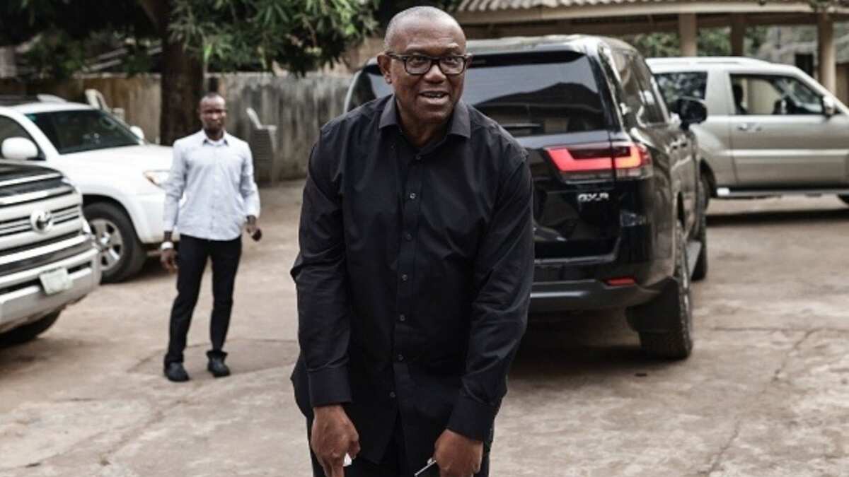 Shocking details of how Peter Obi was detained in London: Here are 5 jaw-dropping details you need to know
