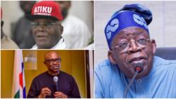 2023: Atiku, Tinubu or Obi? Yoruba Elders reveal presidential candidate Yoruba people will vote for and why