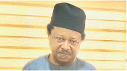 “We don’t know their faces”: Shehu Sani raises vital question on payment of subsidies