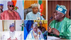 List of top outgoing APC governors who may become Tinubu's ministers