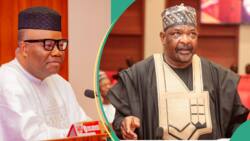 Budget padding: “Ningi may be reinstated soon,” Akpabio under pressure as sources list 1 major condition