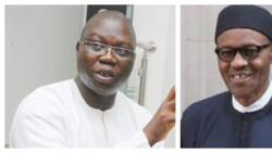 Woeful predictions released as Gani Adams sends message to Buhari's govt