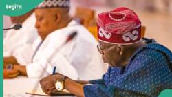 Breaking: Tinubu appoints MKO's Son Jamiu Abiola as special assistant on special duties