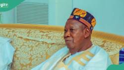 APC's Ganduje finally discloses those behind his ‘Africa magic’ suspension
