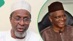 Balarabe Abbas: 5 Interesting facts about Tinubu's new ministerial nominee who replaced El-Rufai