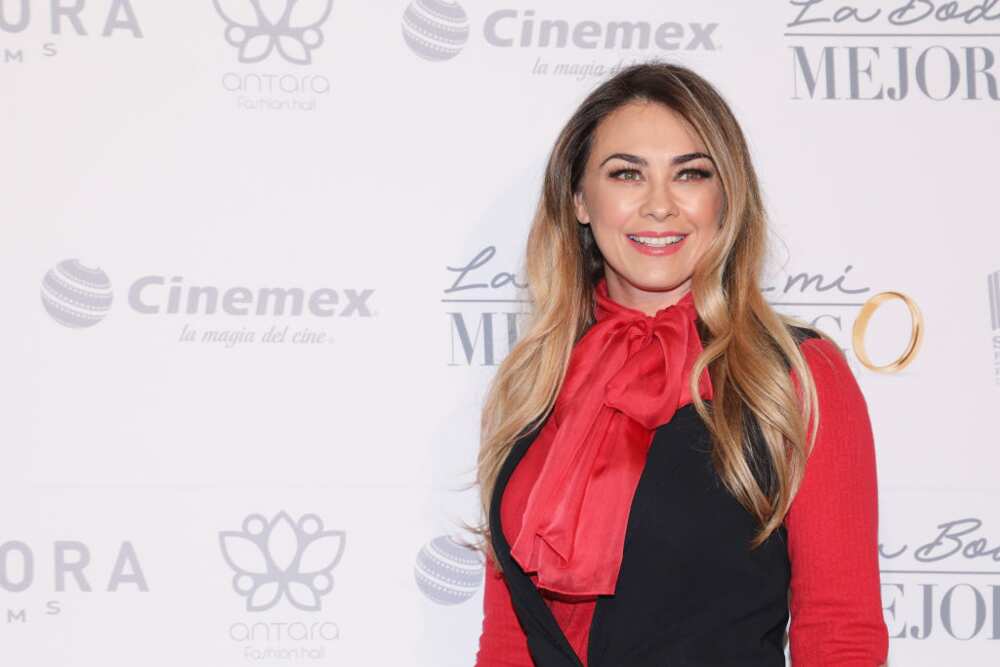 Aracely Arambula poses for a photograph  successful  a reddish  and achromatic  outfit