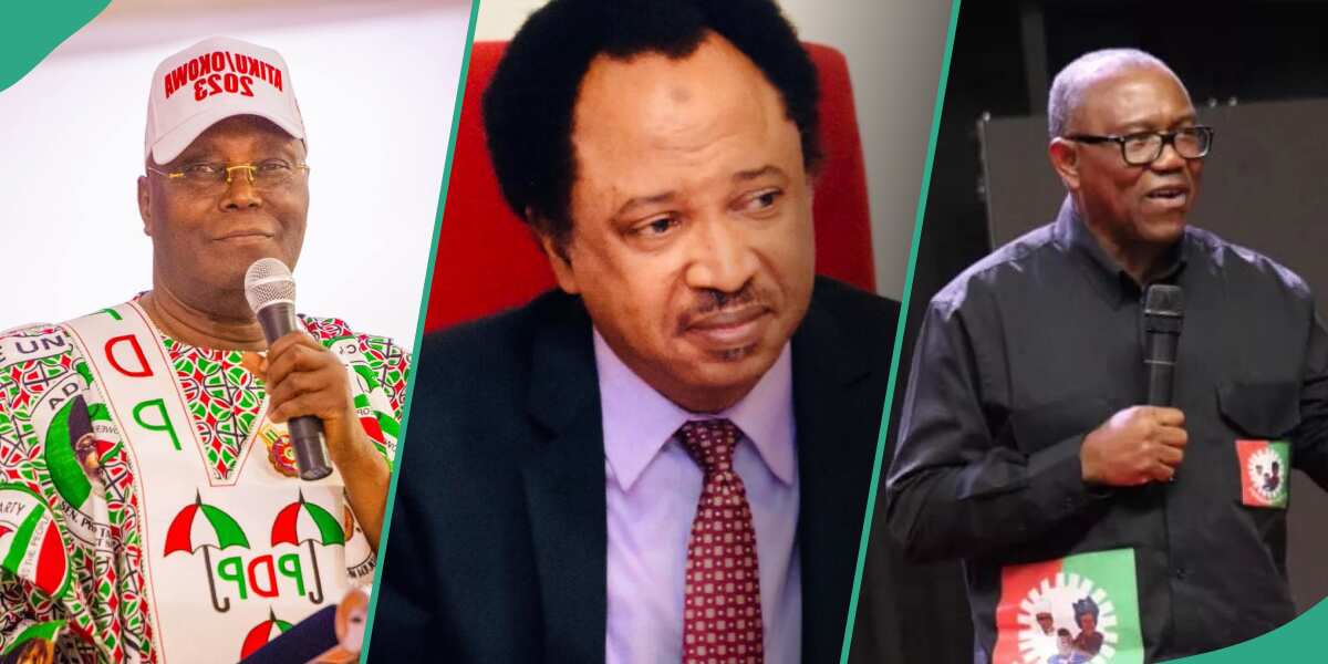 Nigerians react as Shehu Sani reveals only President to have ever congratulated winner