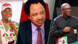 "Might be the last": Sani reveals only President to have ever congratulated winner, Nigerians react