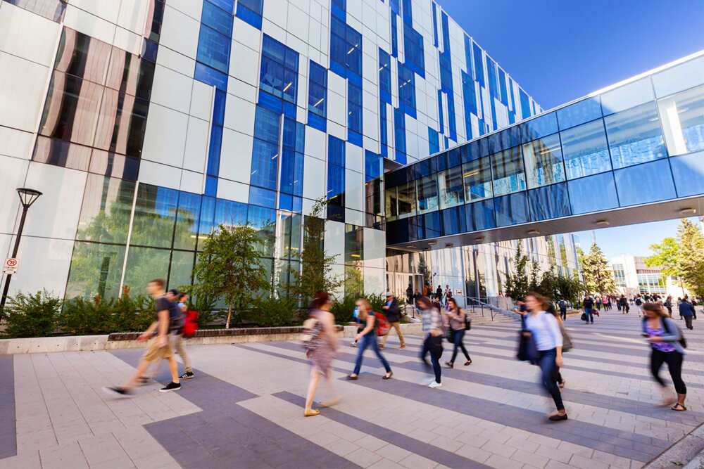 University of Calgary tuition fee for international students - Legit.ng