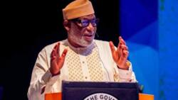Powerful southwest APC governor speaks on fate of Obidients in his state ahead of 2023 presidential election