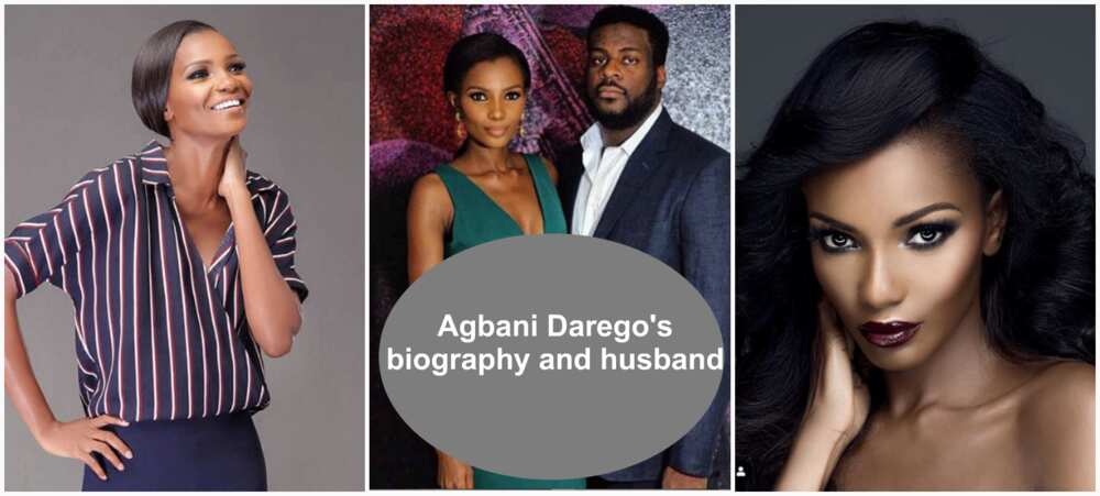 Agbani Darego's biography and husband Agbani Darego's biography and husband