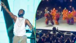 "Grammy is coming home": Davido thrills at Paris concert, KCee and masquerade crew perform in video