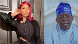 "Agbado don reach your side": Nigerians reacts as American rapper Nicki Minaj posts corn till she deletes it
