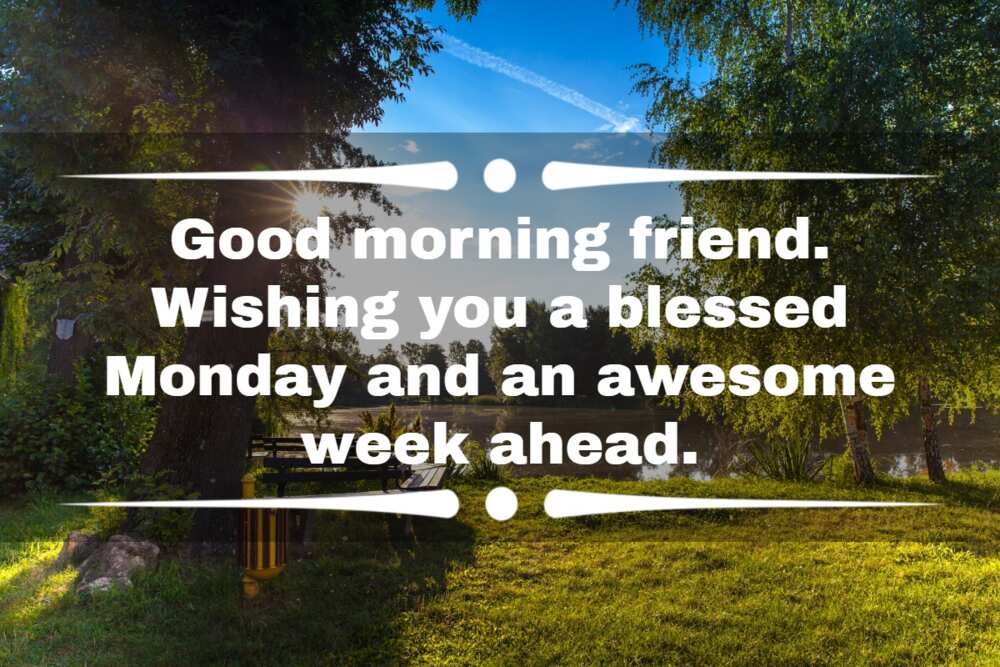 have a blessed monday morning