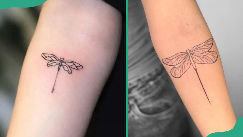 Tiny dragonfly tattoos
