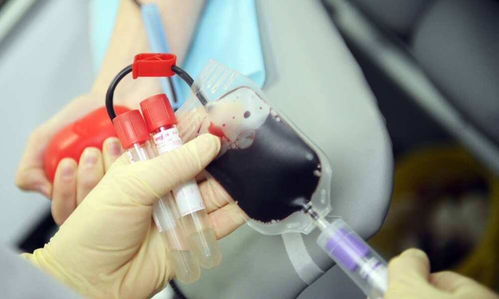 What is hijama? Advantages and disadvantages of the procedure What is hijama? Advantages and disadvantages of the procedure