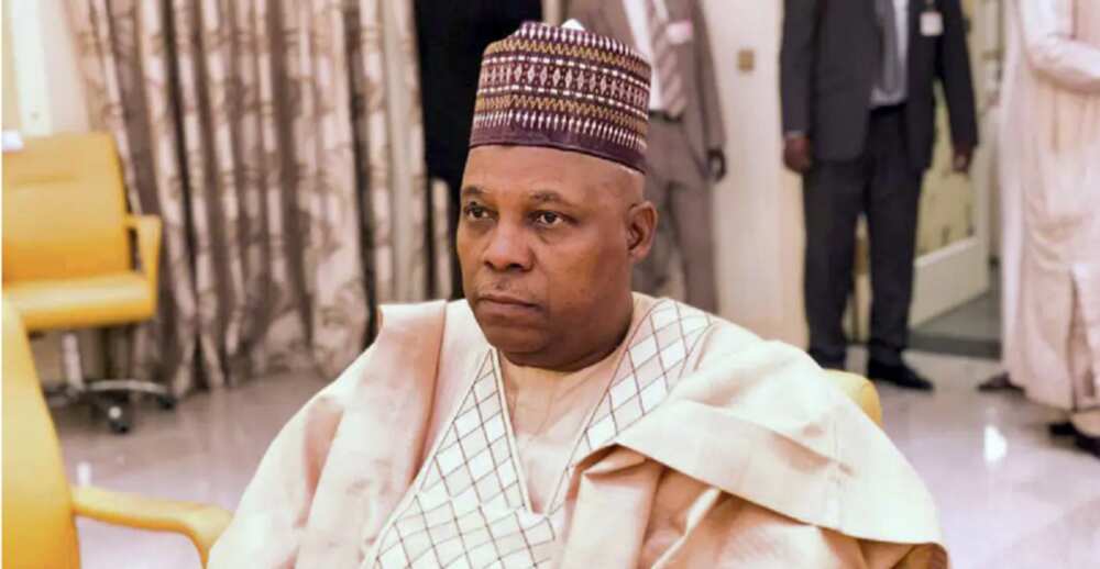 Ice-cream seller, Tomato vendor: Shettima apologises to Osinbajo, Lawan