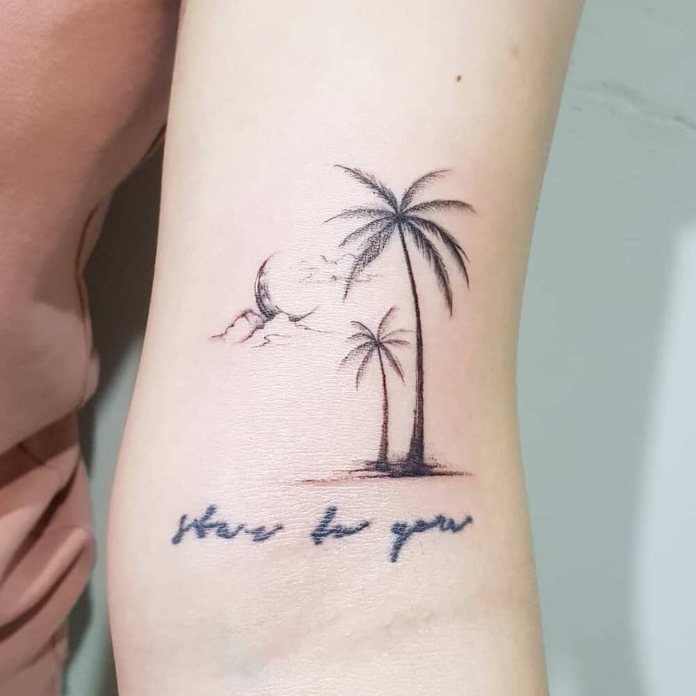 50 palm tree tattoo design ideas for men and women Legit.ng