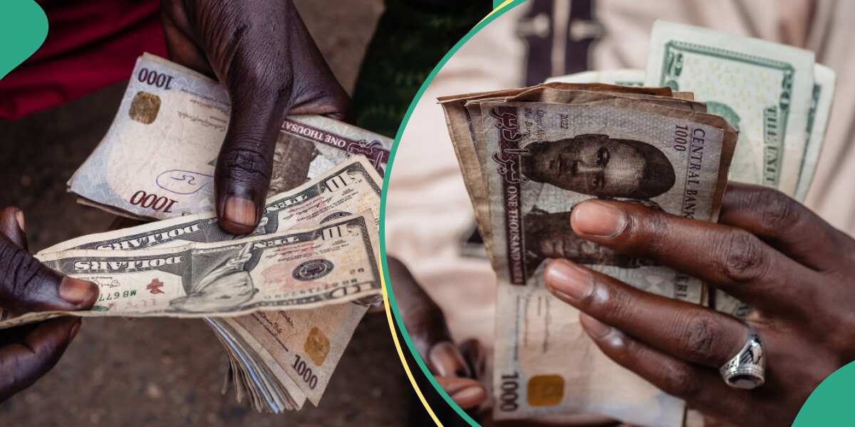 See latest naira to dollar exchange rate in all forex markets after CBN's decision