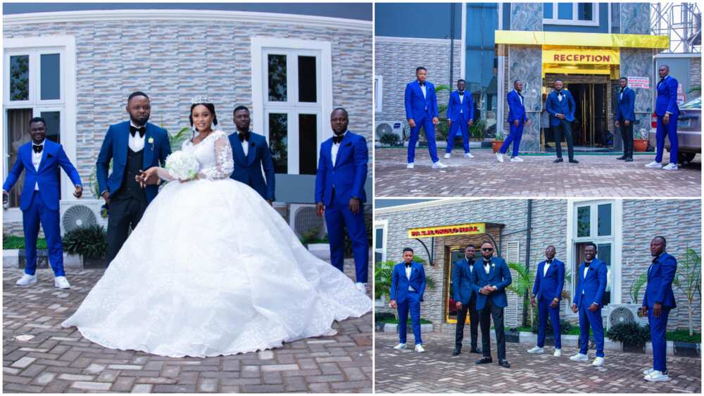 Nigerian Couple Make Big Fashion Statement at Wedding Ceremony, men in Suit Wear Adorable Blue Colour