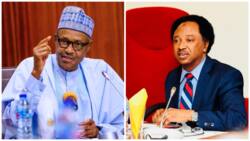 Shehu Sani Ya Bayyana Cibiyar Gwamnati Da Ta Fi Kowacce Zamba a Gwamnatin Buhari