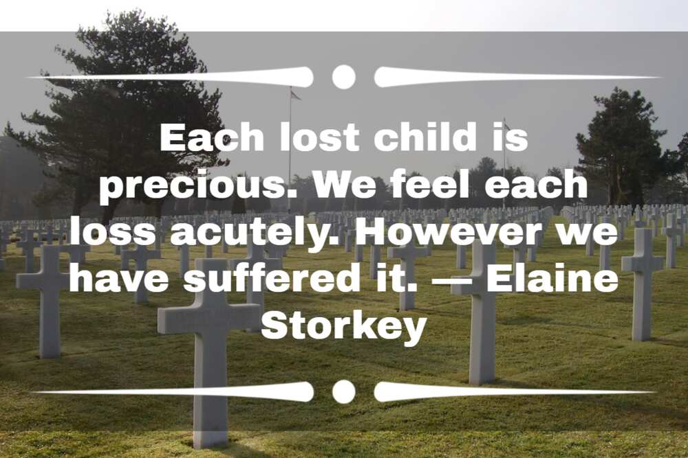 Sudden death loss quotes Sudden death loss quotes