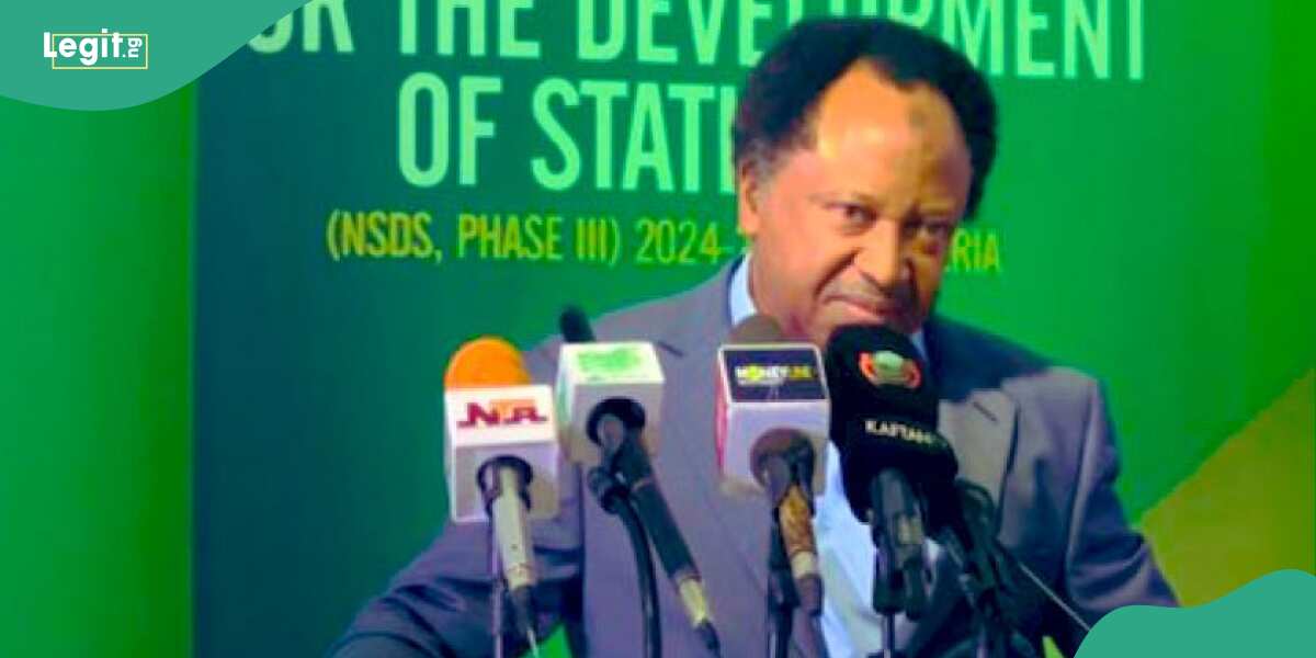 Shehu Sani warns Nigerians, reveals what will happen if if FG agrees to pay 400k as minimum wage