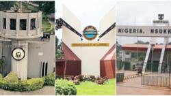 University of Ibadan stands tall as list of Nigerian varsities that are over 60 years old emerges