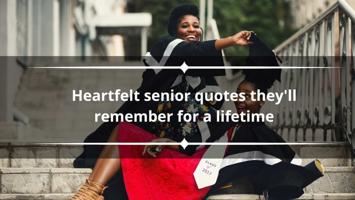 100+ heartfelt senior quotes they'll remember for a lifetime